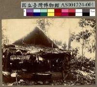 藏品(楚克島 Chuuk (Truk) 的原住民及其家屋)的圖片